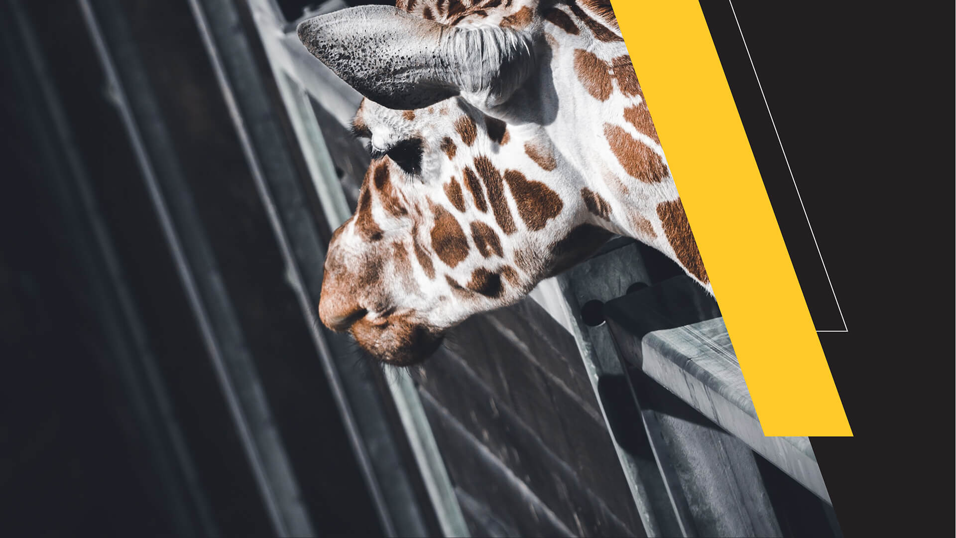 8ae11-tbwa-slider-05